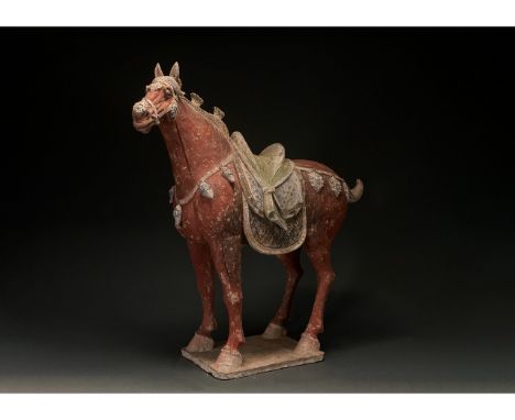 Ca. 618 - 907 AD. Chinese Tang Dynasty. An elegant hollow-moulded terracotta horse. This horse is modelled in a standing pose