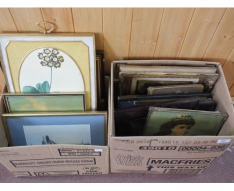 Various prints and pictures (two boxes)