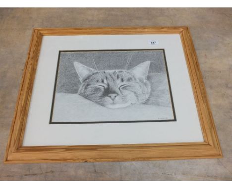Sally Jackson pencil drawing of a head of a cat, 10" x 14"