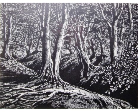 Peter Reddick (1924-2010)Woodcut 'Beeches', wood engraved image of a beech wood. limited edition print, signed and dated 1989