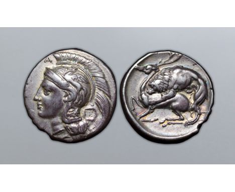 Lucania, Velia AR Didrachm. Circa 290-275 BC. Head of Athena left, wearing crested Attic helmet decorated with a griffin, A a