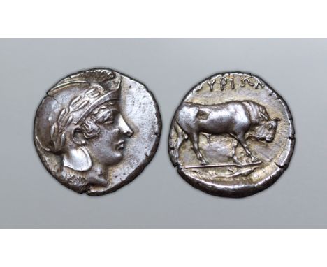Lucania, Thourioi AR Stater. Circa 443-400 BC. Head of Athena right, wearing crested Attic helmet decorated with wreath / Bul