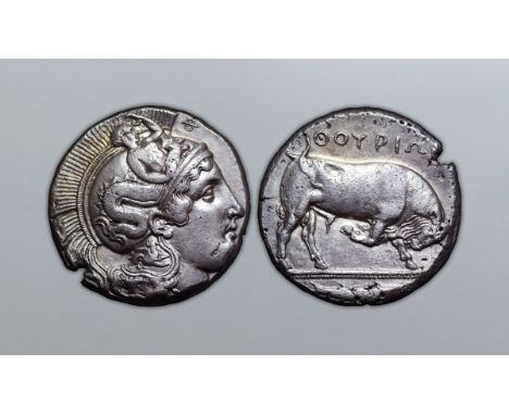 Lucania, Thourioi AR Distater. Circa 400-350 BC. Helmeted head of Athena right, helmet decorated with Skylla scanning and gri