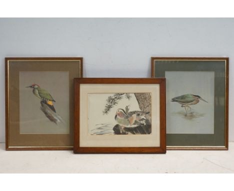 Fine vintage watercolour study of mandarin ducks, together with two T Lindsey bird prints on toned paper 