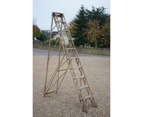A Charles Jones lattice step ladder '1919'. 