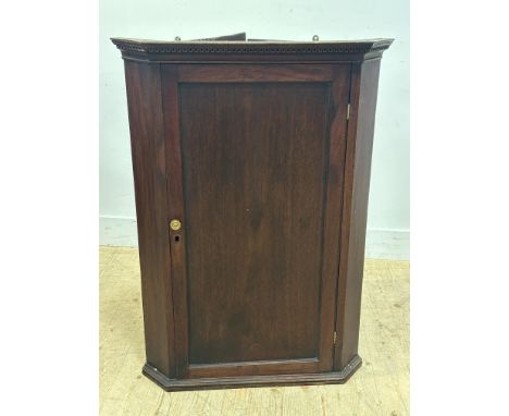 A stained pine and mahogany wall hanging cupboard with carved dentil cornice, fixed shelf interior (h. 100cm x l. 70cm x w.49