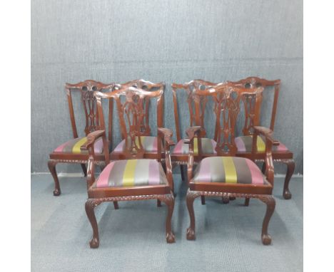 A set of six mahogany ball and claw foot Chippendale style dining chairs including two carvers.