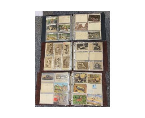 Three albums of vintage London Zoo postcards.