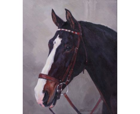 Bachrach-Bareé, Hellmut. 1898 - 1964."Pferdekopf". Mittig u. signiert. Öl/ Hartfaser. Rahmen. 72 x 80 cm. Tier-,Portrait-und 
