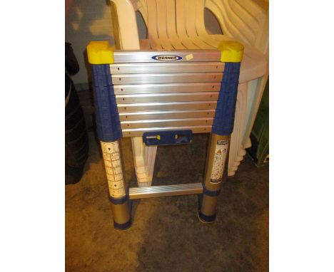 Werner Telescopic Ladder