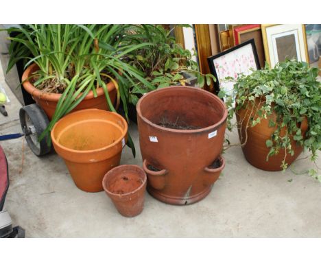 AN ASSORTMENT OF VARIOUS PLANTERS TO INCLUDE A TERRACOTTA STRAWBERRY PLANTER 