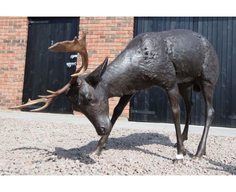 Large bronze statue of a stag with real antlers - Approx H: 93cm L: 144cm W: 77cm (width of antlers)