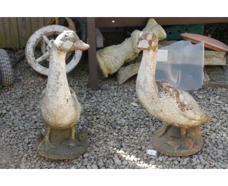 Pair of stone geese garden ornaments - Height: 60cm 