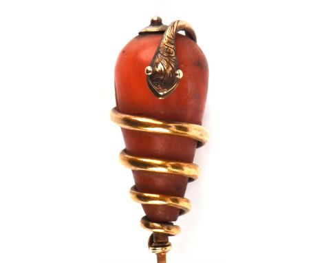 Victorian coral snake stick pin, tear drop shaped coral 2.5x 1.1cm, encircled by snake, with gold pin and safety chain loop, 
