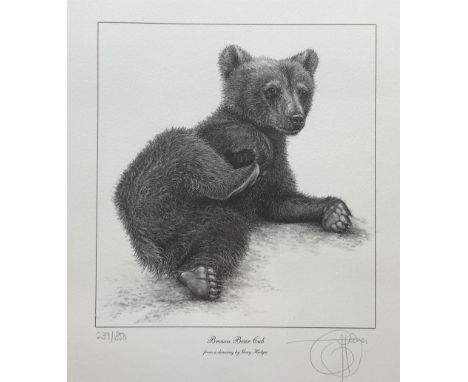 Gary Hodges (British 1954-): 'Brown Bear Cub', limited edition monochrome print signed and numbered 239/850 in pencil 26cm x 