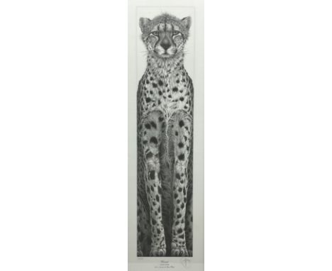Gary Hodges (British 1954-): 'Cheetah',, limited edition monochrome print signed and numbered 113/850 in pencil 66cm x 20cm