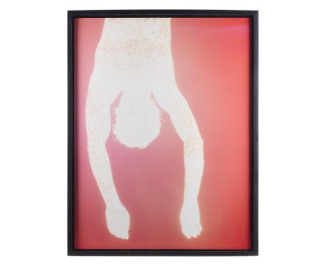 Christopher Bucklow (British, b. 1957). Unique dye destruction photogram print from the "Guest" series titled "Guest, [M.B.] 