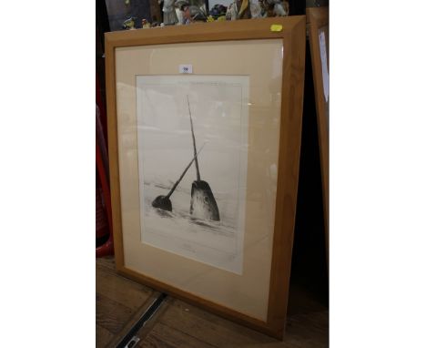 Gary HodgesNarwhallimited edition print 346/850, signed in pencil50 x 33 cm 