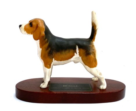 A Beswick Beagle Connoisseur model on plinth, 14cmH 