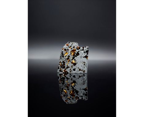 CROSS SECTION OF A PALLASITE METEORITE SEYMCHAN, SIBERIA, C. 4.5 BILLION YEARS B.P. the slice with olivine crystals suspended