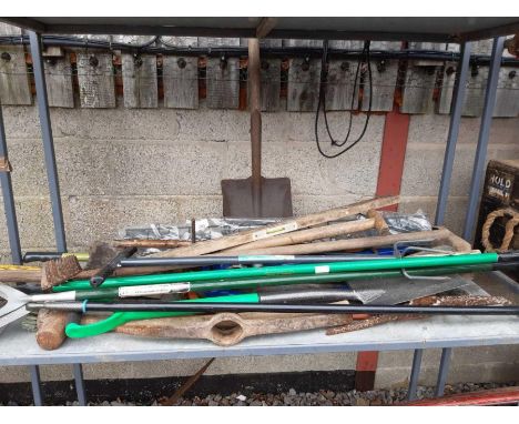 Shelf of garden tools etc