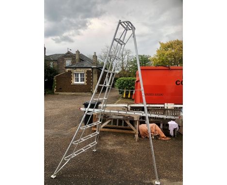 Hasegawa GSC-300EL Tripod Ladder