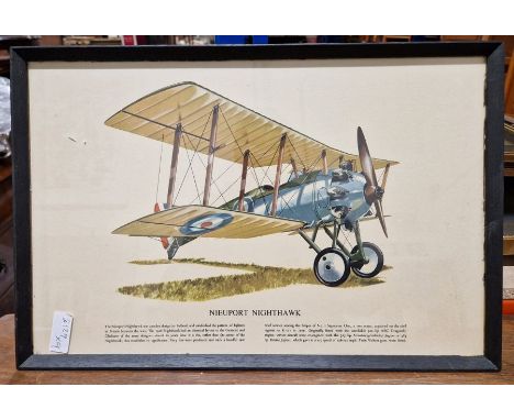 Four prints of biplanes and triplanes to include Sopwith Triplane, Nieuport Nighthalk etc. a Disney Collectors Edition lithog