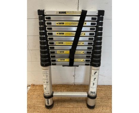 A builders brand extendable ladder 