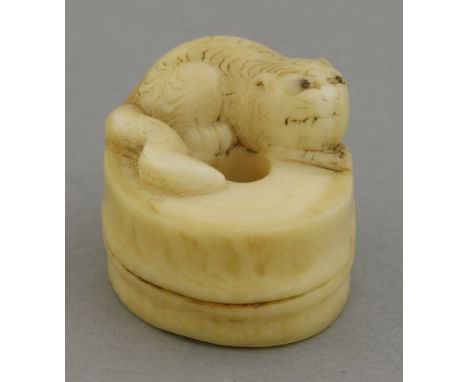 A 19th century ivory netsuke, in the form of a tiger curled around the top of a bamboo section, 3.5cm