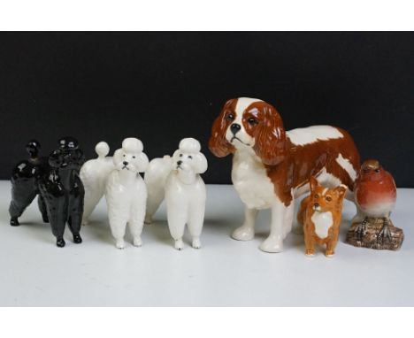 Group of Beswick ceramic dog figurines to include three poodles, a corgi, cavalier king charles spaniel and a robin. Spaniel 