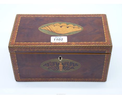 A George III three compartment tea Caddy, well coloured and shaded conch shell inlay to the centre of the lid and cross bandi
