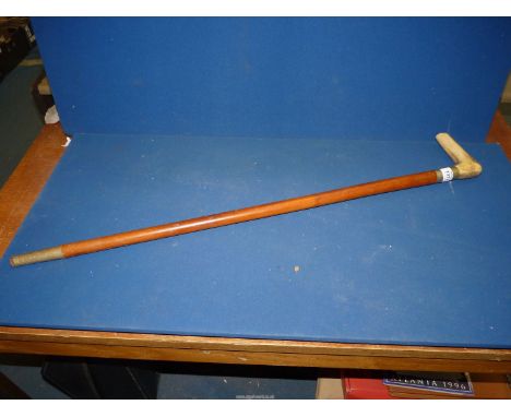 A wooden Walking Stick having a heavy horn handle.
