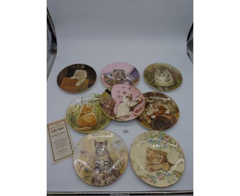 A collection of 8 Royal Worcester 'The Hamilton Collection - Kitten Classics' display plates, one a/f. All with boxes.