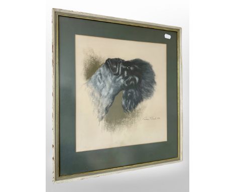 Rex Flood : Dog portrait, colour chalks, 34cm x 30cm, signed and dated 1970.
