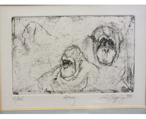 A FRAMED AND GLAZED SIGNED LIMITED EDITION PRINT OF APES ENTITLED 'AMY' 5/25 SIGNED LOWER RIGHT - SIZE 15.5CM X 11CM
