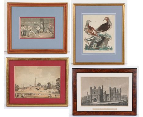Collection of four framed prints, to include View of Wolterton Manor House Norfolk, a boxing match, a dove and pigeon and a T