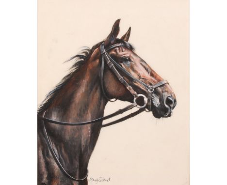 Mary S. Jones (?) (20th century English School)Portrait of a Thoroughbred Horsesigned, oil on paper, 18.5cm x 15cm