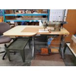 Industrial Sewing Machine