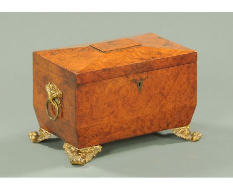 A Regency burr wood tea caddy, with cornucopia brass embossed backplates to the carrying handles and raised on short paw feet