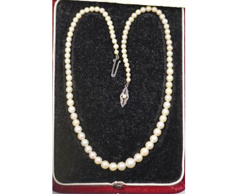 Nagoya pearl necklace with silver clasp - approx. 39cm (excludes clasp)