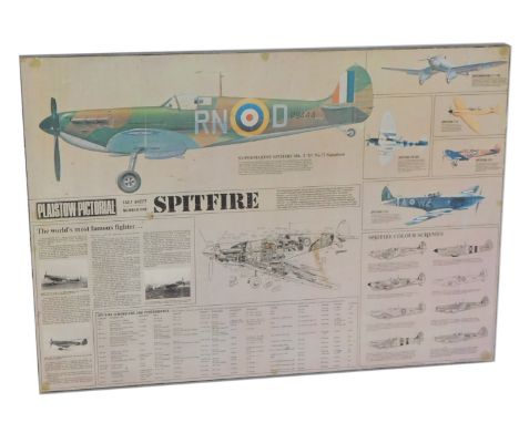 A autographed print of the Spitfire, 62cm x 89cm. 