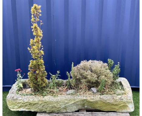 18th/19th century shallow sandstone trough/planter, long rectangular shape with rough cut and tooled sides, planted  - THIS L