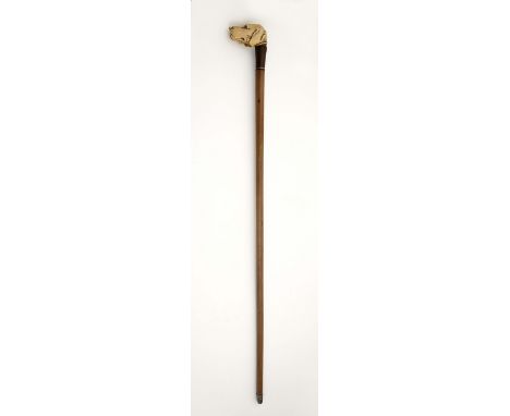 A stick "Dog's head", exotic wood, metal tip, carved ivory handle, glass eyes, European, 19th C., signs of use. Notes: a) Thi