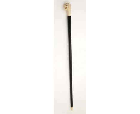 A walking stick "Lion's Head", Brazilian rosewood stick with ivory tip, carved ivory handle, European, 19th C. (2nd half). No