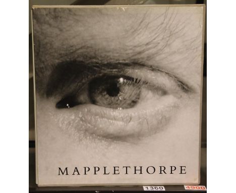 Large format Mapplethorpe in slip case. P&amp;P Group 3 (£25+VAT for the first lot and £5+VAT for subsequent lots) 