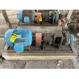 P. TISSA Stainless Steel Centrifugal Pump 25 HP at 3520 Rpm, Model CLO-3X11/2X81/2 Impeller 8.5“ Op