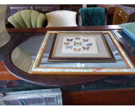 A Butterfly Tapestry 