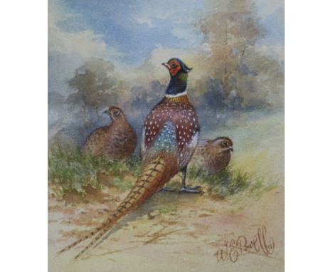 Two watercolours of pheasants by Royal Worcester artists; W E Powell and J Stinton 13 x 11 and 11 x 15cm.