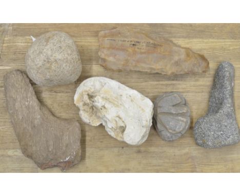 Large neolithic flint pounding stone, a piece of fossilized wood, corn grinding stone etc. (6) (Victor Brox collection) 