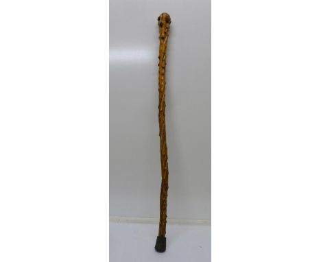 A hawthorn walking stick